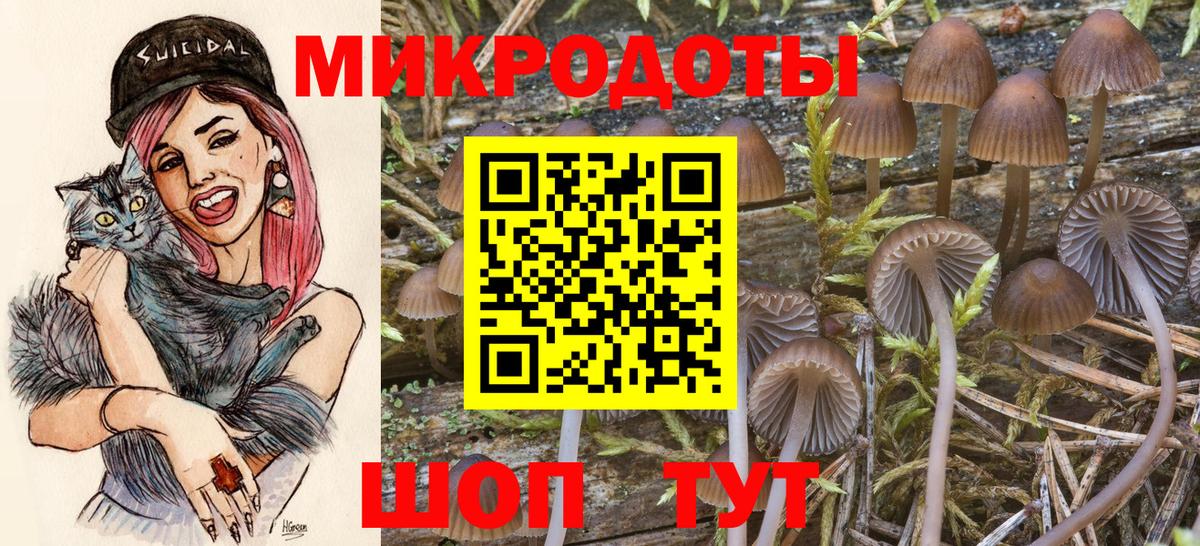 Галлюциногенные грибы Psilocybe  Псилоцибиновые грибы мицелий  Елец  Вход с VPN 